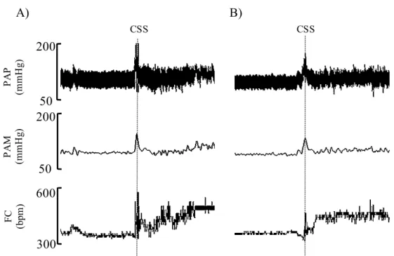 Figura 5. Traçados representativos das respostas de pressão arterial (PA) e de frequência cardíaca (FC) de  ratos submetidos à exposição aguda ao estresse por mudança de ambiente (CSS) A: grupo intacto; B grupo  veículo HDM