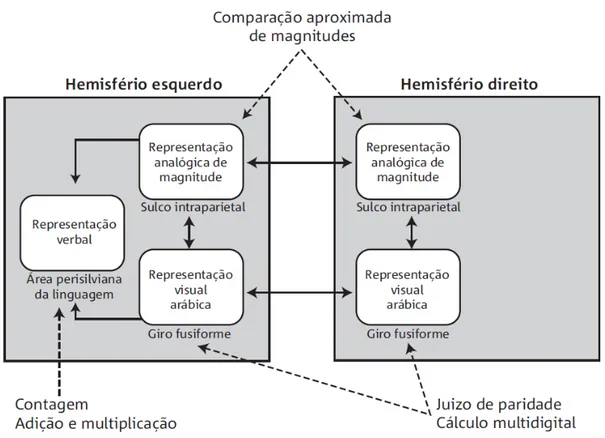 Figura 1: Triplo Código  