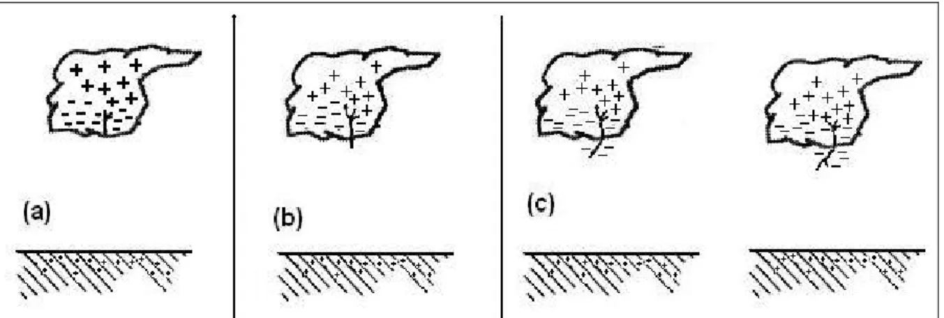 Figura 2.3 - Processos de formação de descargas. a) Ruptura preliminar entre as regiões  positivas e negativas