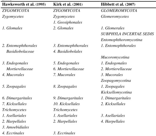 Tabela 1 – Comparação das diferentes classificações do filo Zygomycota (Adaptado de Liu &amp; Voigt,  2009).
