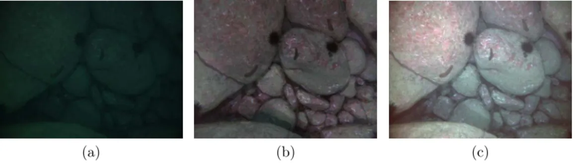 Figure 2.24. Image restoration results obtained by Bryson et al. [2012] in a