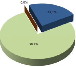 Figura 6   Gráfico relativo ao referencial IGE (escola B) 
