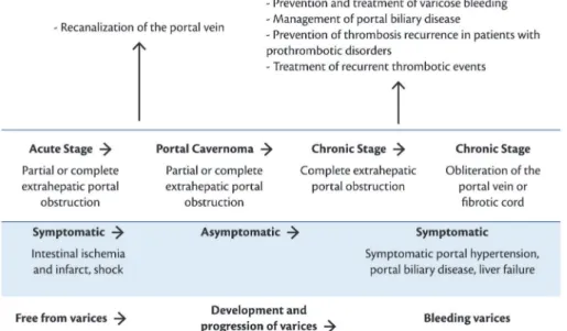 Figure 6. Progression of thrombosis of the portal vein and treatment strategy for patients free from cancer and cirrhosis