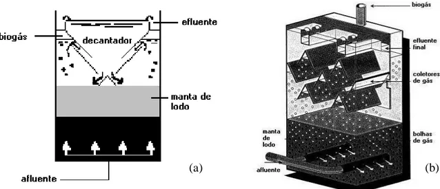 Figura 3.2  – Representação esquemática do reatores UASB; (a) BIOTHANE; (b) BIOPAQ .