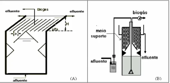 Figura 3.3  – Representação esquemática do reatores UASB; (a) decantador de alta-taxa; 