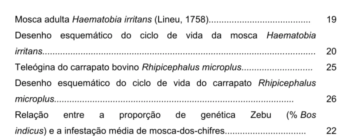 Figura 1 -  Mosca adulta Haematobia irritans (Lineu, 1758).......................................