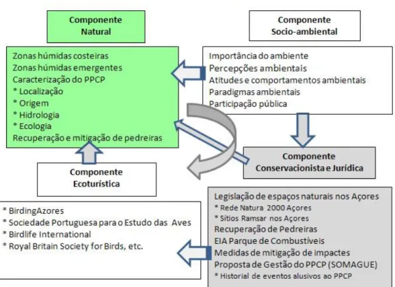 Figura 17. Componentes da Revisão Bibliográfica efectuada. 