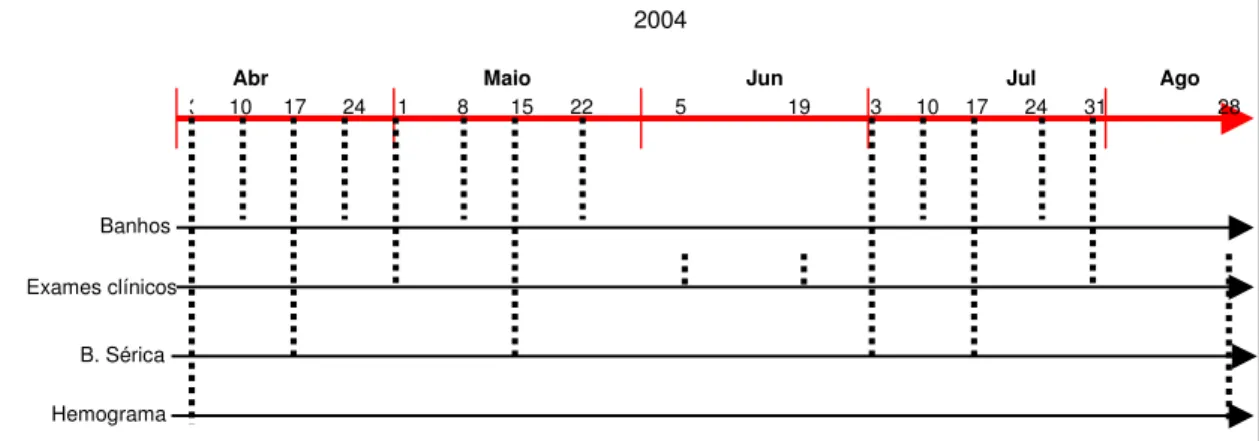 Figura 2. Cronograma de realização dos tratamentos carrapaticidas, exames clínicos e coletas de sangue para as análises da bioquímica sérica e do hemograma dos eqüinos - Palma/MG, 2004
