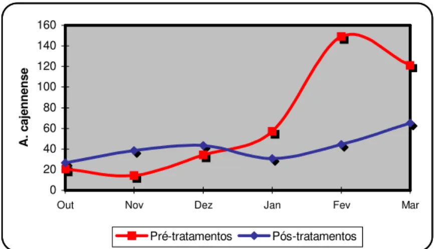 Figura 1. Estádios adultos do A. cajennense em eqüinos antes e após o programa de controle estratégico, respectivamente, nos períodos de outubro de 2003 a março de 2004 e outubro de 2004 a março de 2005 - Palma/MG