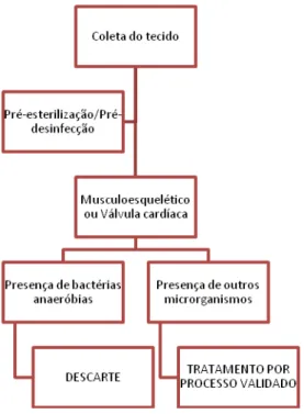 Figura 5  – Organograma: Destino de tecidos musculoesqueléticos e válvulas cardíacas na  presença de microrganismos 