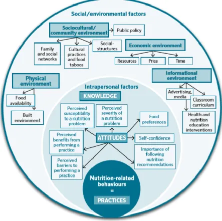 Figura 1: Fatores que influenciam as práticas alimentares (26). 