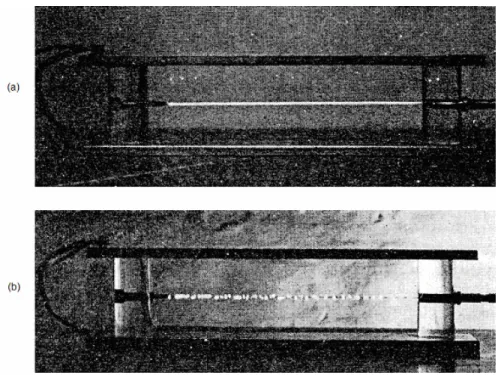 Figura 2.6: Fotografia longitudinal de um fio sob efeito corona [3].   (a) Corona positiva