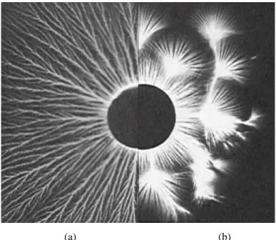 Figura 2.7: Fotografia transversal de um fio sob efeito corona [13].   (a) Corona positiva