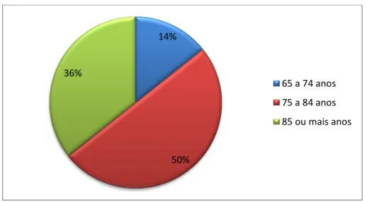 Gráfico 1: Distribuição percentual da amostra por grupo etário 