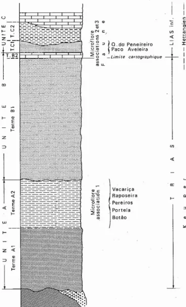 Fig. 8 - Les subdivisions Iithostratigraphiques, les données strati- strati-graphiques et les coupures cartostrati-graphiques dans la base du Mésozoïque de l'affleurement de bordure du Nord du Tage.