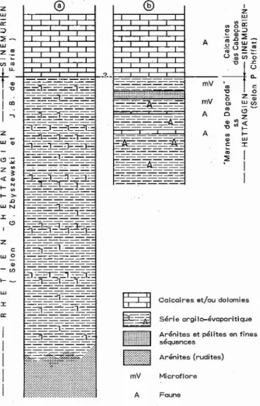 Fig. 2 - La succession des dépôts dans les aires diapiriques d'après (a) des des données de sondage (b) des observations de terrain (aire