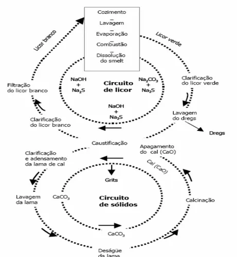 Figura 3.4  - Representação esquemática do ciclo de licor e circuito de sólidos.  Fonte: GRACE &amp; MALCON (1989)  apud  PIOTTO (2004)
