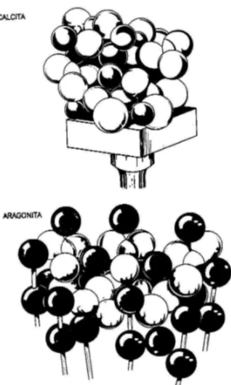 FIGURA 3.5 – Modelo das estruturas dos carbonatos. 
