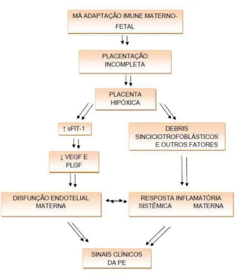 FIGURA 3 – Diagrama de Desenvolvimenoo da Pré-Eclampsia  Fonte: REDMAN; SARGENT, 2005, p