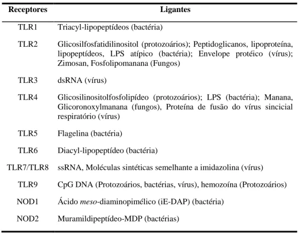 Tabela 1. Receptores da imunidade inata (TLRs e NLRs) e seus respectivos ligantes (Wilmanski et  al