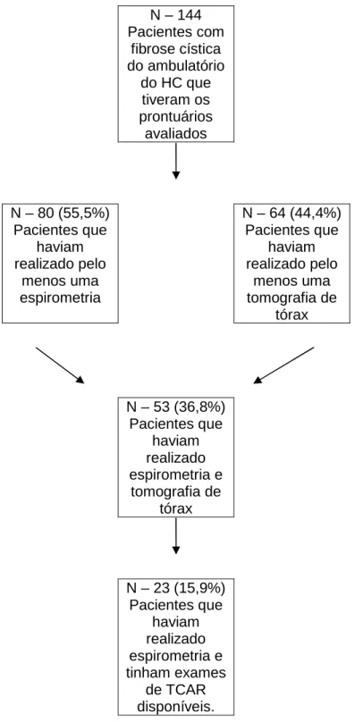 Figura 1- Fluxograma do processo de seleção da amostra. 