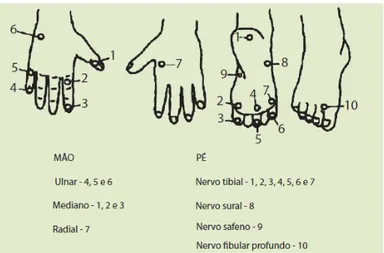 Figura 6: Pontos testados na avaliação de sensibilidade protetora em mãos e pés.  