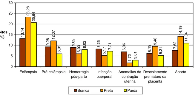 Gráfico 1 - Percentual de mortes maternas por causas diretas, segundo raça/cor.  Brasil, 2003  13,14 9,28 9,02 8,25 6,96 6,19 7,6223,2812,07 6,03 5,17 1,72 9,48 14,1920,646,018,027,213,015,21 11,04 051015202530
