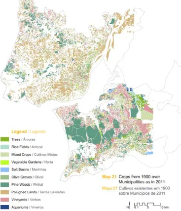 Figure 2: Crops from 1900 over Municipalities in 2011 in Lisbon  Metropolitan Area