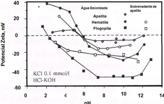 Figura  3.7:  Curvas  de  potencial  zeta  x  pH  de  partículas  minerais  finas  com  água  deionizada  e com  sobrenadante  de apatita  (WANG &amp; HEISKANEN,1991)