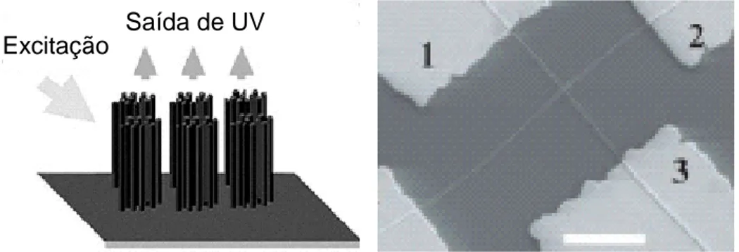 Figura 1. 4 Figura da esquerda ilustrativa de laser UV produzido por Yang[14]. A imagem da direita é  de um FET(Transistor por efeito de campos) produzido por Y