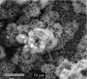 Figura 2. 5 Imagem de nanoflores de ZnO feita por elétrons secundários no Dep. De Física da UFMG.