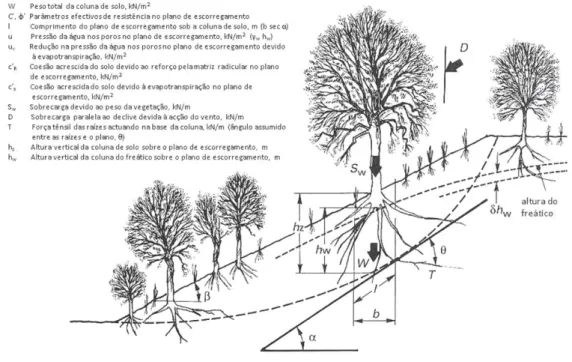 Figura 14 - Efeitos da Vegetação num talude (Extraído de Fernandes, J. P &amp; Freitas, A