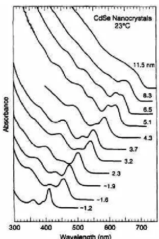 Figura 6: Variação da curva de absorbância com o tamanho de nanocristais de CdSe  3 . 