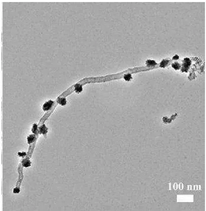 Figura 7: Exemplo de decoração de nanotubos de carbono com nanocristais  4 . 