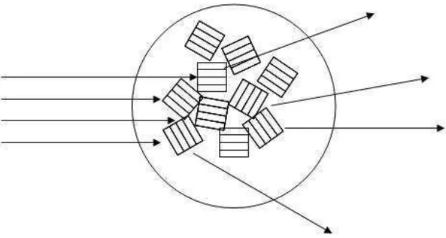 Figura 30: Esquema representando uma amostra policristalina espalhando o feixe incidente em todas  as direções possíveis simultaneamente