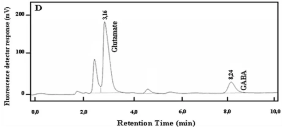 Figura 12 - Cromatograma representativo da análise das concentrações de glutamato e  GABA  em  amostras  obtidas  do  tálamo  de  animal  do  grupo  “padrão  mantido  em  grupo ”