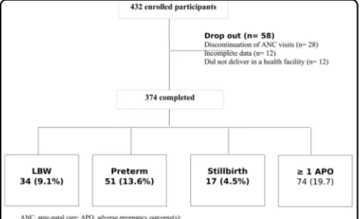 Table 1 presents selected socio-demographic, nutri- nutri-tional and anthropometric characteristics of pregnant women by their APO experience