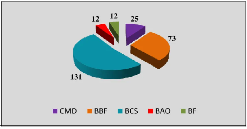 Figura 3 – Caracterização da amostra por Batarias 28% 