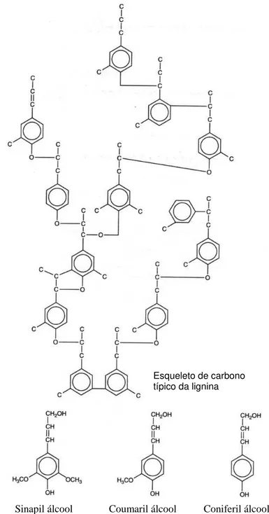 FIG  1.1  Estrutura  molecular  da  lignina,  um  complexo  polímero 