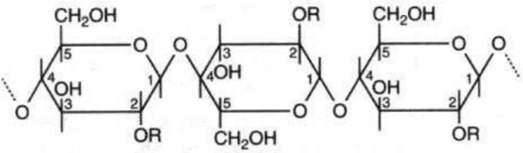 FIG  1.2 Estrutura  linear  de  glucanas  com  ligações  glicosídicas  β(1→4). O símbolo R representa –H na molécula de celulose