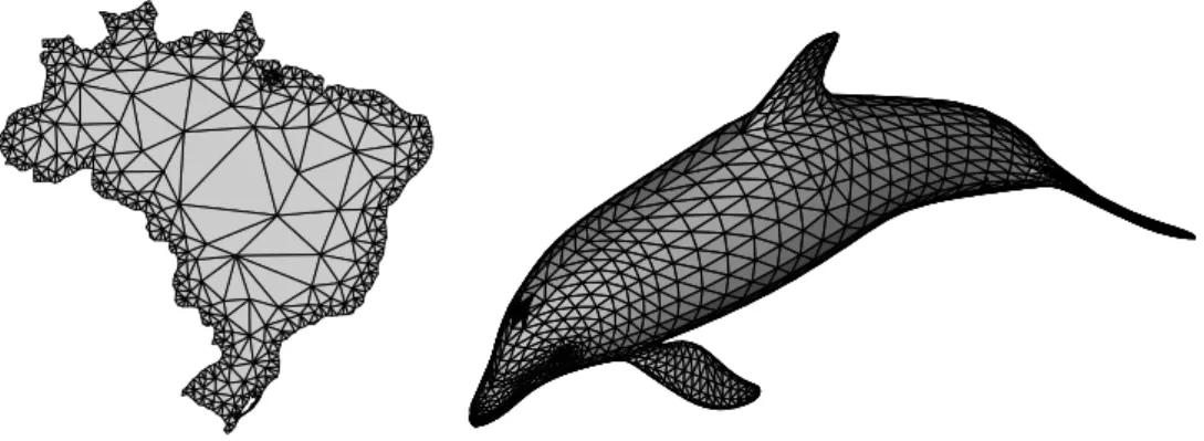 Figure 1.2: Triangular mesh of the Brazilian territory and surface triangular mesh of a dolphin.