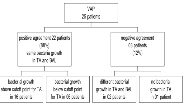 Figure 4 – Correlation between TA and BAL cultures in the identification of the etiologic agent 