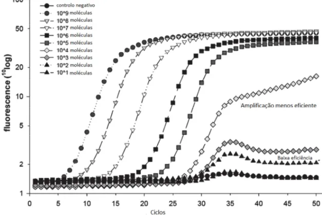 Figura 2.7. Representação gráfica dos resultados da amplificação em tempo real em  função de diferentes teores de moléculas de ADN iniciais (Adaptado de Pelt-Verkuil et al