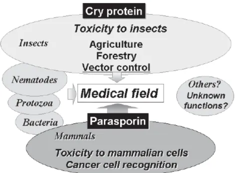 Fig. 2: Toxinas Cry e parasporinas de Bt e suas aplicações no futuro (Kitada et al.; 