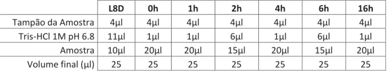 Tabela  6:  Composição  das  amostras  aplicadas  nos  poços  do  SDS-PAGE  das  amostras de S133B nos vários tempos de solubilização