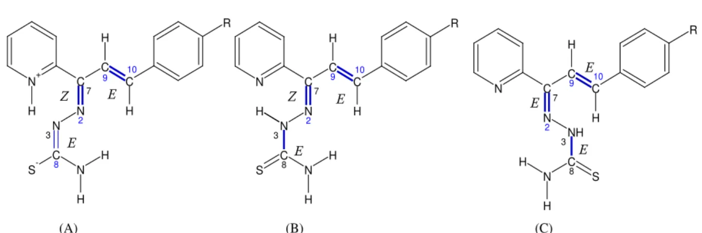 Figura 3.6 – Representação estrutural para as prováveis conformações adotadas pelas tiossemicarbazonas 