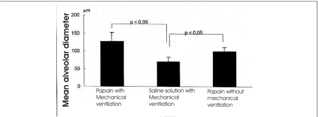 Figure 2 – Demonstration of variation in the measurement of mean alveolar diameter by group