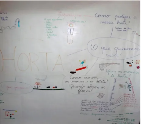 Figura 8- Teia de conhecimentos 