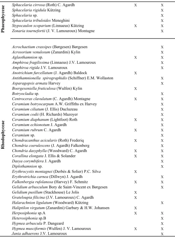 Table 1.  List of taxa identified in the islands of Santa Maria and São Miguel, and corresponding authorities (2/3)