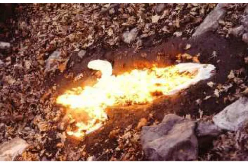 FIGURA 8 – MENDIETA, Ana. lma Silueta em Fuego, 1975. (Slide em cores, 35 mm)  Fonte: Ana Mendieta: Earth Body, Sculpture and Performance 1972 – 1985